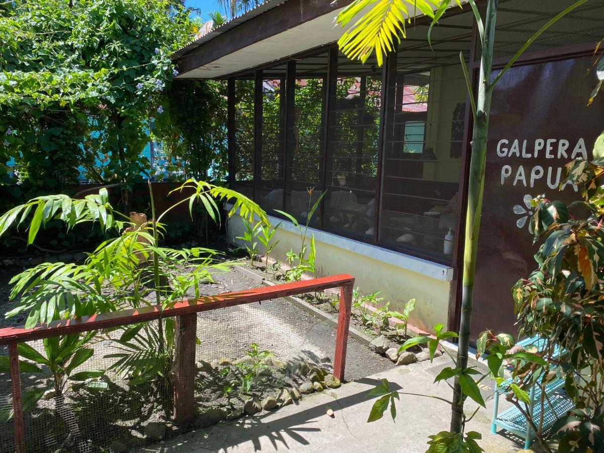 Homestay Galpera Papua *